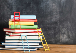 Shaping the Foundations of Learning with Primary Curriculums